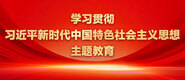 抠摸捏舔学习贯彻习近平新时代中国特色社会主义思想主题教育_fororder_ad-371X160(2)